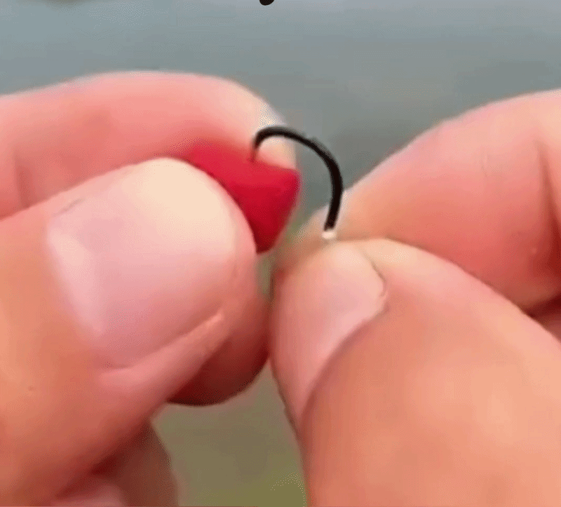 Momeală Peste FishBite™