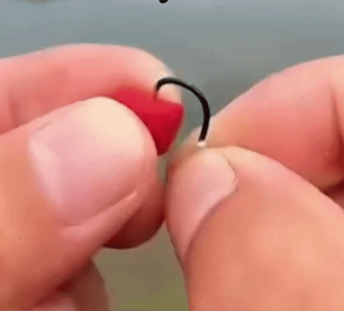 Momeală Peste FishBite™