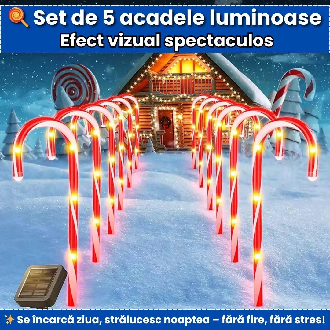Set 5 Acadele Luminoase cu LEDMain StoreMain StoreSet 5 Acadele Luminoase cu LED